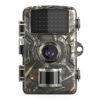 3095-850c67.jpeg
